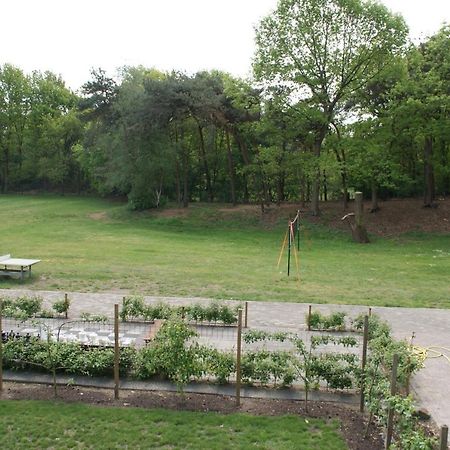 Vakantieboerderij 'T Zand - Appartement Heeswijk-Dinther Esterno foto